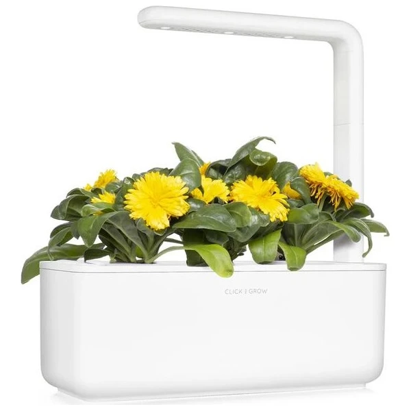 Click and Grow Měsíček lékařský, kapsle se semínky a substrátem 3ks - Sazenice - Obrázek d_29b14a7fe8b149c687595c7d1afd6802