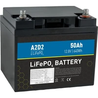Avacom A2D2 baterie LiFePO4 12,8V 50Ah M6 (REPT cells) - Baterie