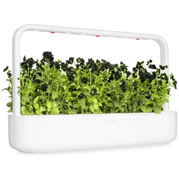 Click and Grow Černá maceška, kapsle se semínky a substrátem 3ks - Sazenice - Obrázek d_3142857a0026420bb3302e29f677b481