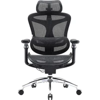 SIHOO Doro C300 Pro židle černá - Židle