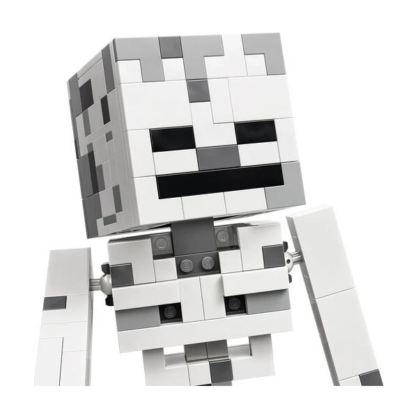 LEGO Minecraft 21594 Kostlivec - LEGO - Obrázek d_35760409b44d425d9d644fb9f258e281