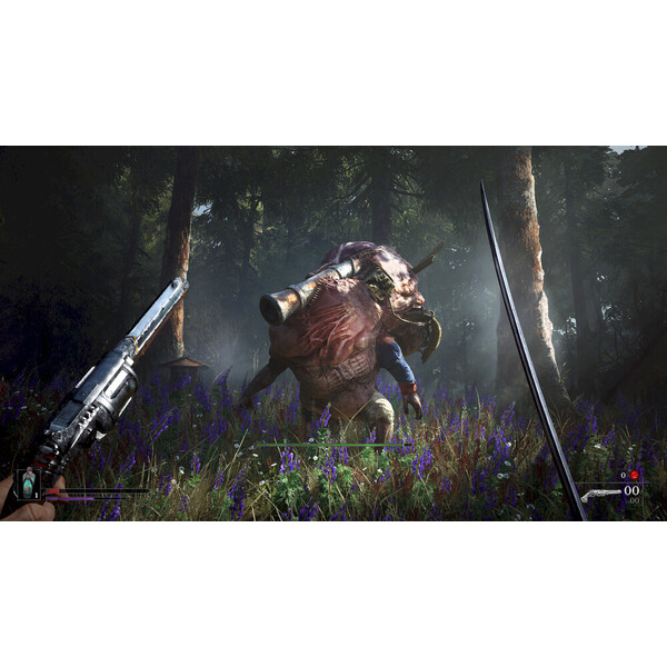 Valor Mortis (PS5) - Hry pro PS5 - Obrázek d_3d3d9704aaa643ccb99f2bc8b22686cb