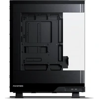 Phanteks Evolv X2 černá - Počítačové skříně