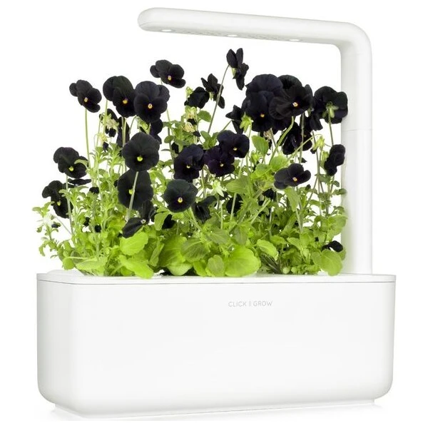 Click and Grow Černá maceška, kapsle se semínky a substrátem 3ks - Sazenice - Obrázek d_49085bd12416419fa25f29b1dd94a3ff