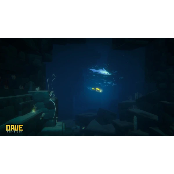Dave the Diver Collector's Edition (PS5) - Hry pro PS5 - Obrázek d_4a1ad7c0f0674181a9d7f7f57c2afd30