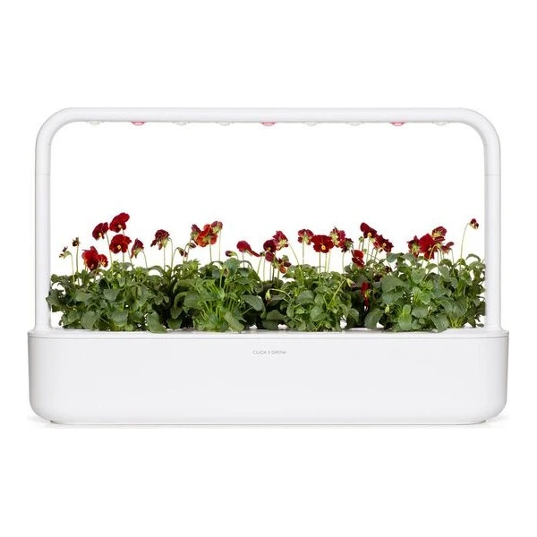 Click and Grow Maceška červená, kapsle se semínky a substrátem 3ks - Sazenice - Obrázek d_4b4108332a50477bbf588da6d9ef3bcf