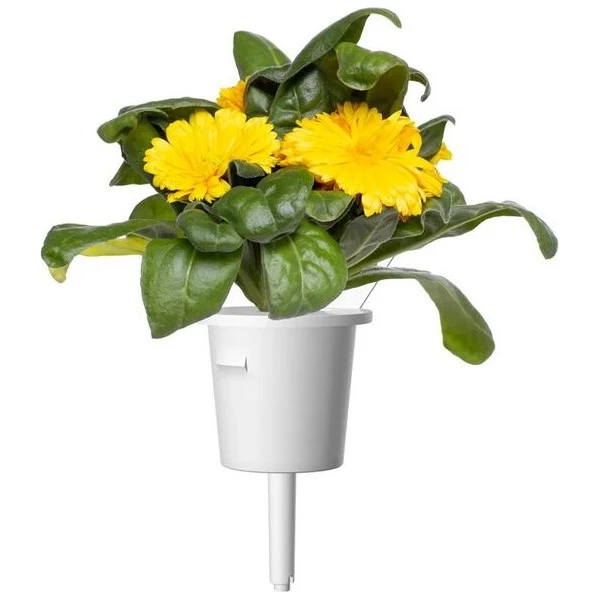 Click and Grow Měsíček lékařský, kapsle se semínky a substrátem 3ks - Sazenice - Obrázek d_4e799fa5a4c341fdaed5aef2644dc7b9