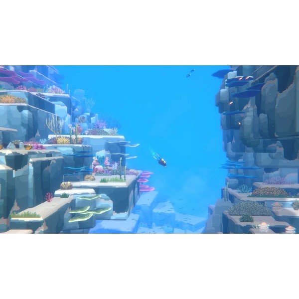 Dave the Diver Collector's Edition (PS5) - Hry pro PS5 - Obrázek d_584b0bd3d5074fc48649fb4aded3b263