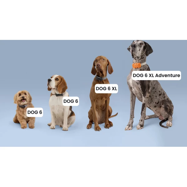 Tractive DOG 6 XL Adventure Edition lokátor pro psy oranžový - GPS moduly - Obrázek d_5aedc4c333994b7588763362cc622aec