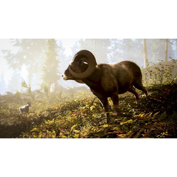 Hunting Simulator 3 (PS5) - Hry pro PS5 - Obrázek d_5f917fee37e14b7087258719dcc71614