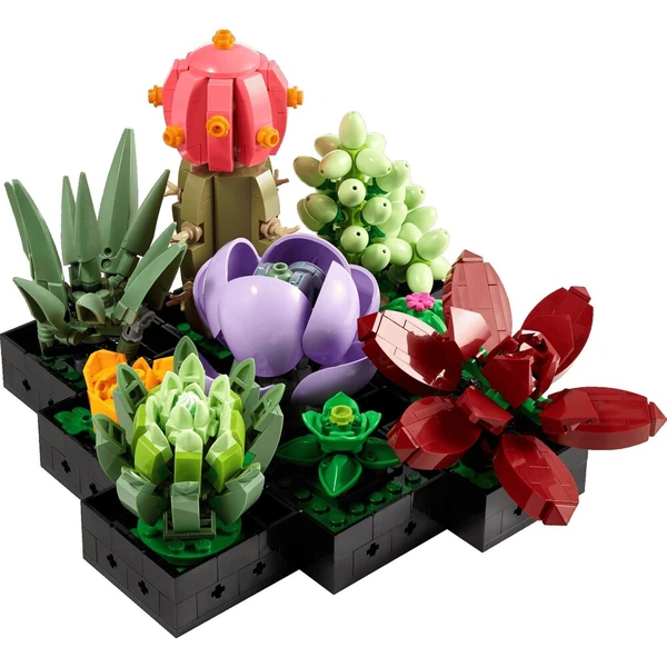 LEGO Botanicals 10309 Sukulenty - LEGO - Obrázek d_6031b10482c444fa80c430f57ca12e68