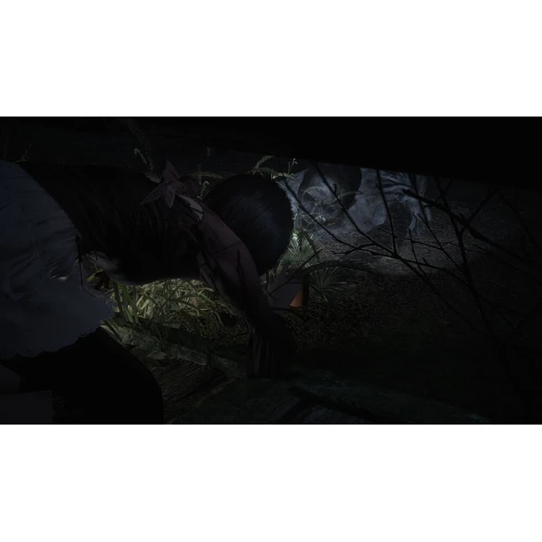 Fatal Frame II: Crimson Butterfly REMAKE (PS5) - Hry pro PS5 - Obrázek d_61c177e73ff342a4b589a3fbe0723276