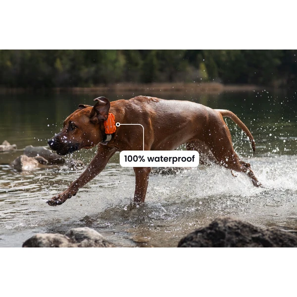 Tractive DOG 6 XL Adventure Edition lokátor pro psy oranžový - GPS moduly - Obrázek d_6987c3791c094fabb47bc359273ae469