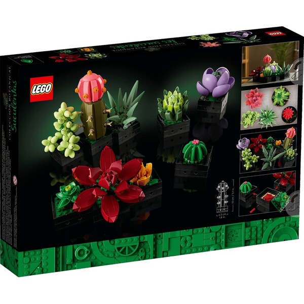 LEGO Botanicals 10309 Sukulenty - LEGO - Obrázek d_6ad8a249f43c4767a199fc6f1b9656b7