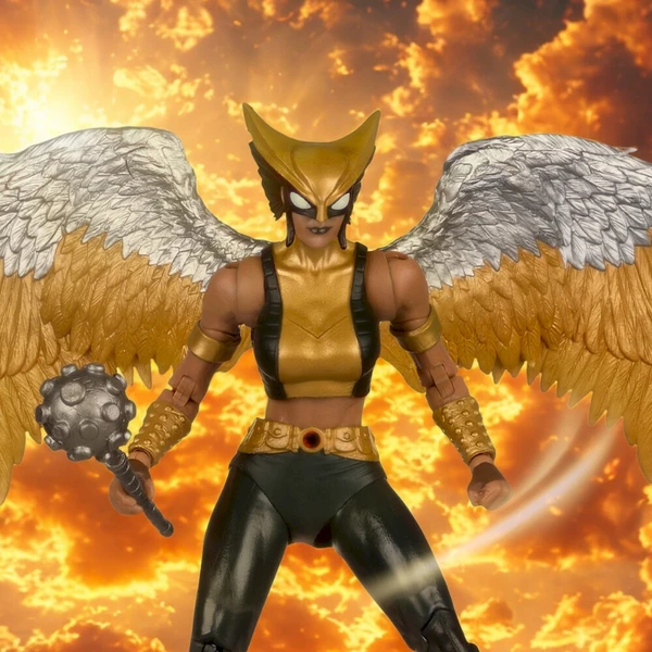 Figurka McFarlane DC Multiverse - Hawkgirl (Kendra Saunders) 18 cm - Figurky - Obrázek d_6bc050fc48924ab5b45d7f4061150fed