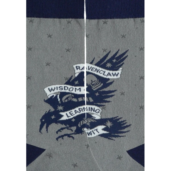 Ponožky Harry Potter - Ravenclaw 39/42 - Ponožky - Obrázek d_737a4e7334764c4d9c86fea0f1d0bbdf