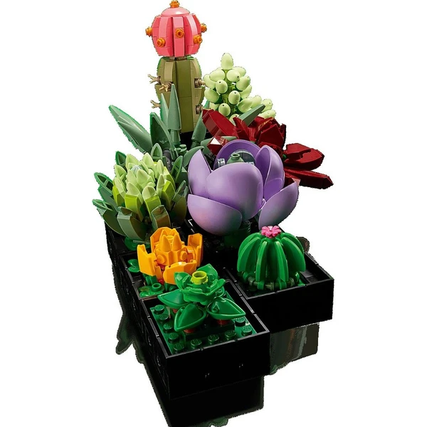 LEGO Botanicals 10309 Sukulenty - LEGO - Obrázek d_7557de2f6c5447729701fc2155643e83