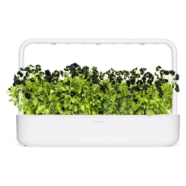 Click and Grow Černá maceška, kapsle se semínky a substrátem 3ks - Sazenice - Obrázek d_7825918ce9c64cffaea2490153e14b0a