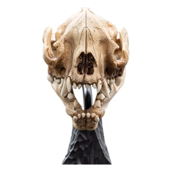 Soška Weta Workshop Pán Prstenů - lebka warga 20 cm - Sochy a sošky - Obrázek d_7a06aad558ff4299bc30d681a6c8bc41