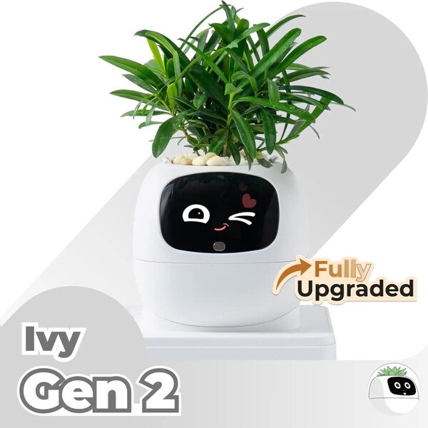 PLANTSIO IVY gen 2 Bílá