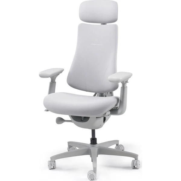 LiberNovo Omni židle space gray - Židle - Obrázek d_8e1706cc749c43e992976e277cb7270b