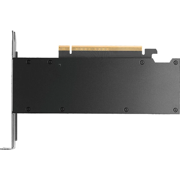 PNY NVIDIA RTX PRO 2000 Blackwell 16GB GDDR7 OEM Version - Grafické karty - Obrázek d_9160119fbcb148aabca40304b8ef58ba
