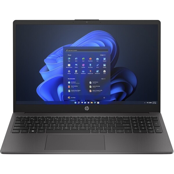 HP 255 G10 (AL0G8AT) šedý Šedá