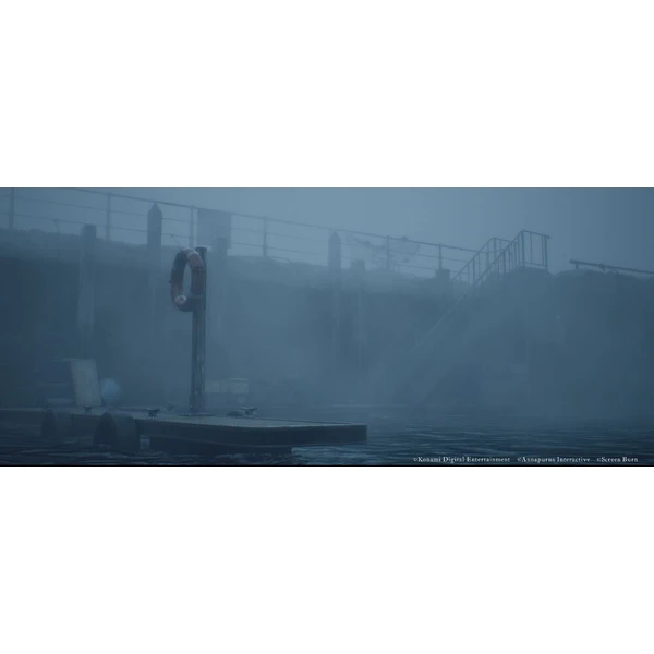 Silent Hill Townfall (PS5) - Hry pro PS5 - Obrázek d_942d7bf59f4045ccbf0a654e588b25e1