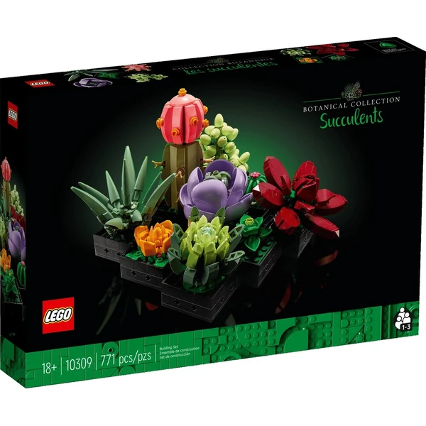 LEGO Botanicals 10309 Sukulenty - LEGO - Obrázek d_9496cee26de64a8db117be90fd55b2ec