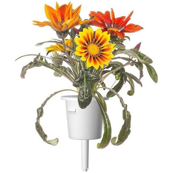 Click and Grow Gazánie, kapsle se semínky a substrátem 3ks - Sazenice - Obrázek d_9989b393e8cf4ae3bc72ea61a334809f