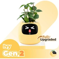 PLANTSIO IVY gen 2 Inteligentní květináč žlutý - Květináče
