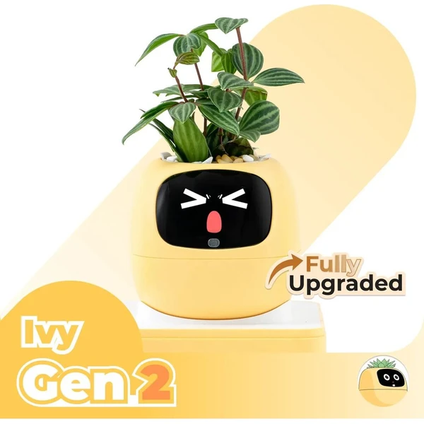 PLANTSIO IVY gen 2 Žlutá