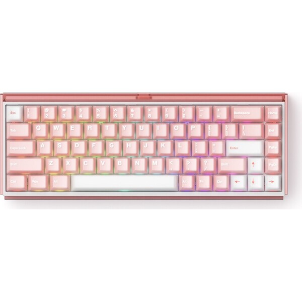 Akko RAY68 HE Akko AstroAim (US) růžovobílá Růžová