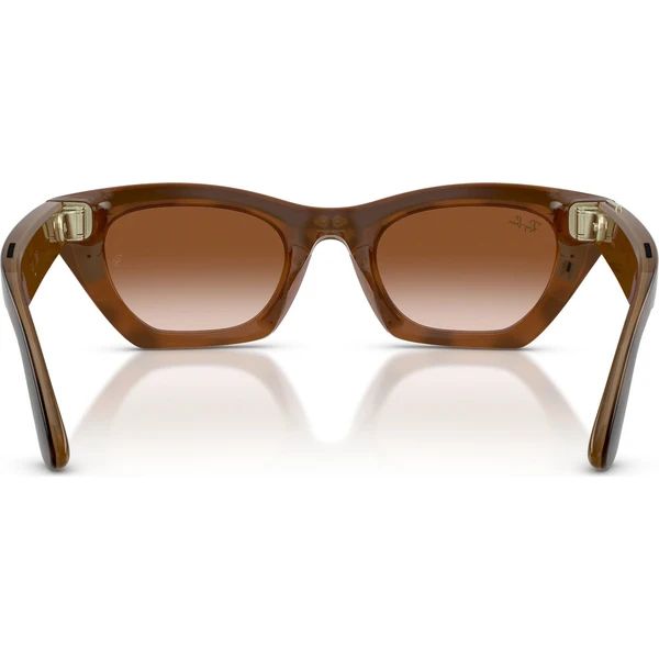 Meta RAY-BAN Zena Gen 3 (Střední) chytré brýle (hnědá skla) želva - AR brýle - Obrázek d_a51e3d79b6154935a920092b35521454
