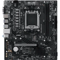 MSI PRO A620AM-B EVO - Základní desky