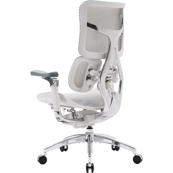 SIHOO Doro S300 židle světle šedá - Židle - Obrázek d_ad26cb7b78d34b878cfccc132f17a493