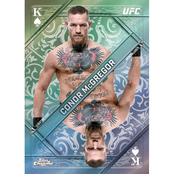Dárek ke hře EA Sports UFC 6 - sběratelské karty - Dárky - Obrázek d_b349bc841c854758ad374053fe8e837b