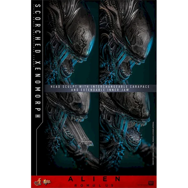 Soška Hot Toys Alien: Romulus Movie Masterpiece Action Figure 1/6 Scorched Xenomorph 44 cm - Sochy a sošky - Obrázek d_be94db211c6041f795cc8d1820b3da9c