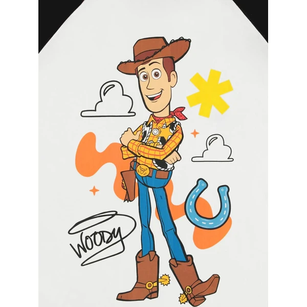 Tričko Toy Story 5 - Woody (raglan) XL - Trička - Obrázek d_c3f6c3b27af5441ba8e75ba5c62afebf