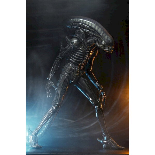 Soška Alien 1979 Action Figure 1/4 Ultimate 40th Anniversary Big Chap 56 cm - Sochy a sošky - Obrázek d_c622d59f6cc44d8c80c49d5ea514aa1e
