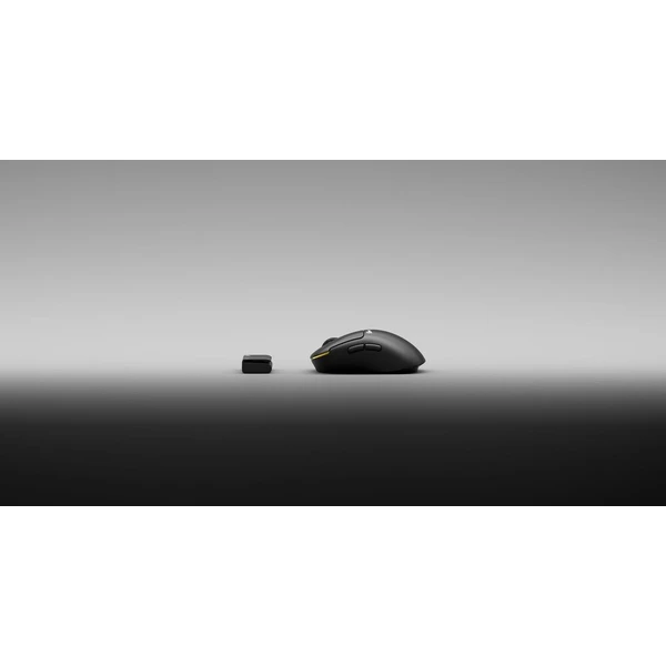 Pulsar Zywoo The Chosen Mouse Gen.2 Medium bezdrátová herní myš černá - Myši - Obrázek d_c7b7ca60976d47b99408e4d425b63543