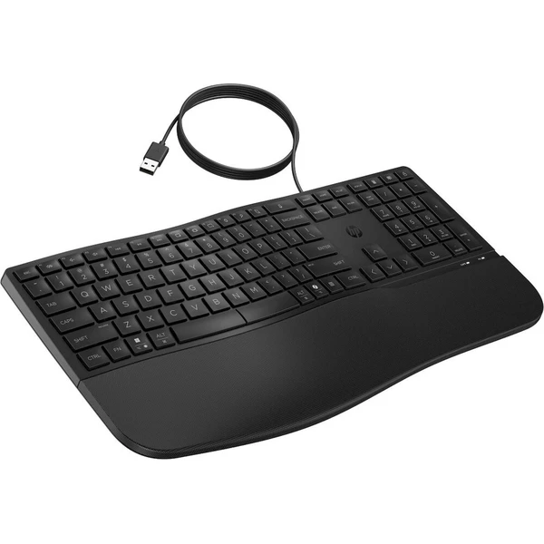 HP 480 Comfort klávesnice černá - Klávesnice - Obrázek d_cb9ba07ce2444addaafbe41498d21a11