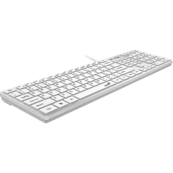 Genius Slimstar 126 klávesnice bílá - Klávesnice - Obrázek d_cfb629fe9890469886cf1c4eebaab2f3