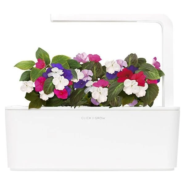 Click and Grow Netýkavka turecká, kapsle se semínky a substrátem 3ks - Sazenice - Obrázek d_d458b578cf3347b0a442248b818b3251