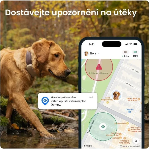 Tractive DOG 6 XL lokátor pro psy hnědý - GPS moduly - Obrázek d_d78f63b321de40faaab4e7bff4360790