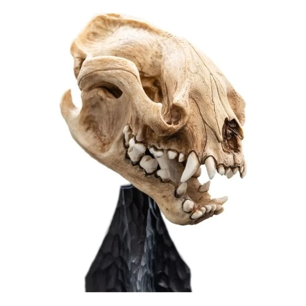Soška Weta Workshop Pán Prstenů - lebka warga 20 cm - Sochy a sošky - Obrázek d_d7a375f8f60947f6a59cc35ac54b58c3