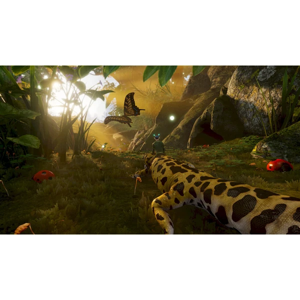 Smalland: Survive The Wilds (Game Key Card)(Switch 2) - Hry pro Nintendo Switch 2 - Obrázek d_d8ab3ce73eb341a6a9e58bffe6beda3d