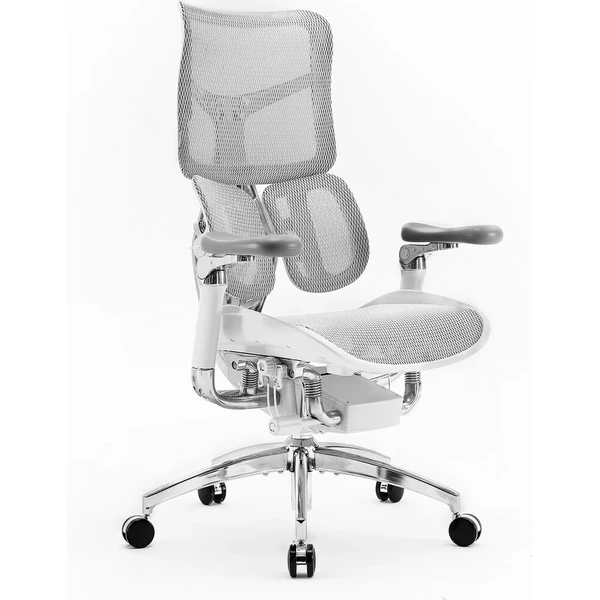 SIHOO Doro S300 židle světle šedá - Židle - Obrázek d_da0ab007d4a148c59036e2ff93084c64