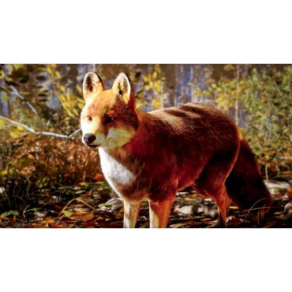Hunting Simulator 3 (XSX) - Hry pro Xbox Series - Obrázek d_dfafef2ad90f43149c560cd068fa8b03