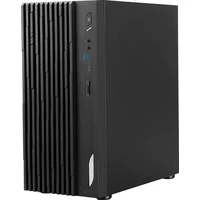 MSI PRO DP180 (9S6-B0A741-1460) černý - Stolní počítače